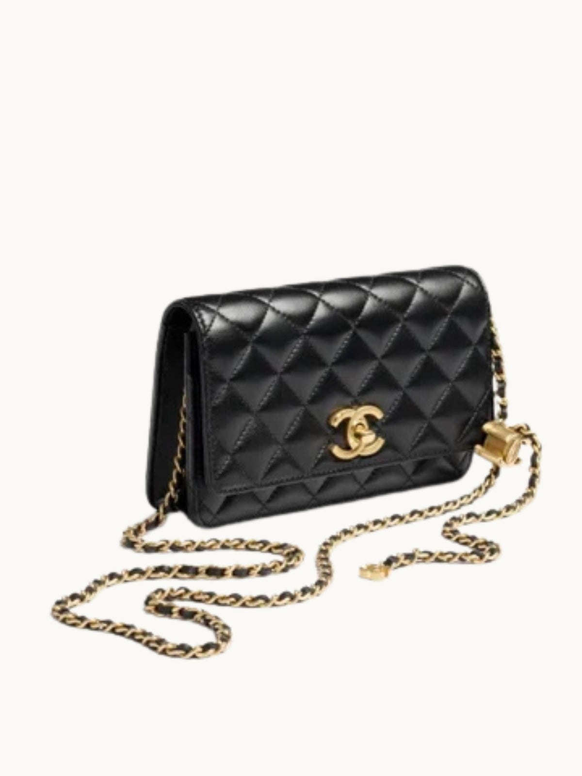 SMALL C BAG